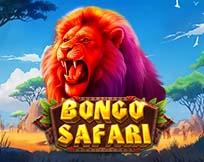 Bongo Safari